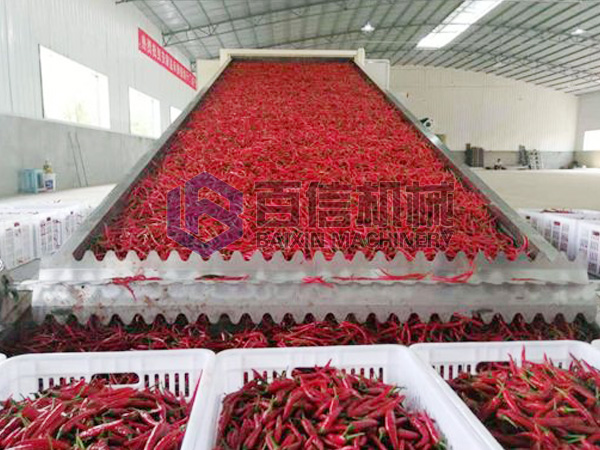 工业辣椒烘干机