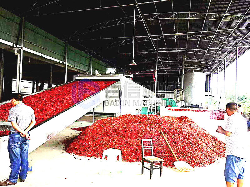 大型辣椒烘干机