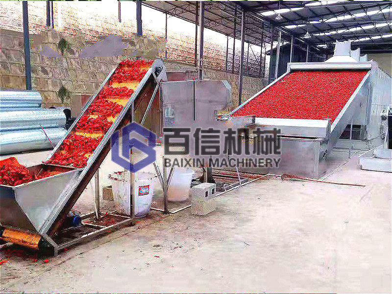 大型辣椒烘干机