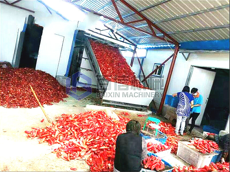 郑州网带辣椒烘干机