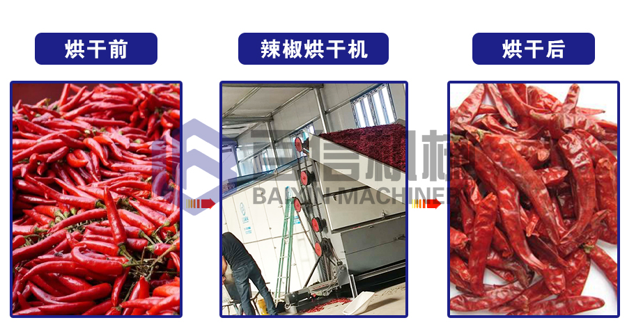 大型辣椒烘干机